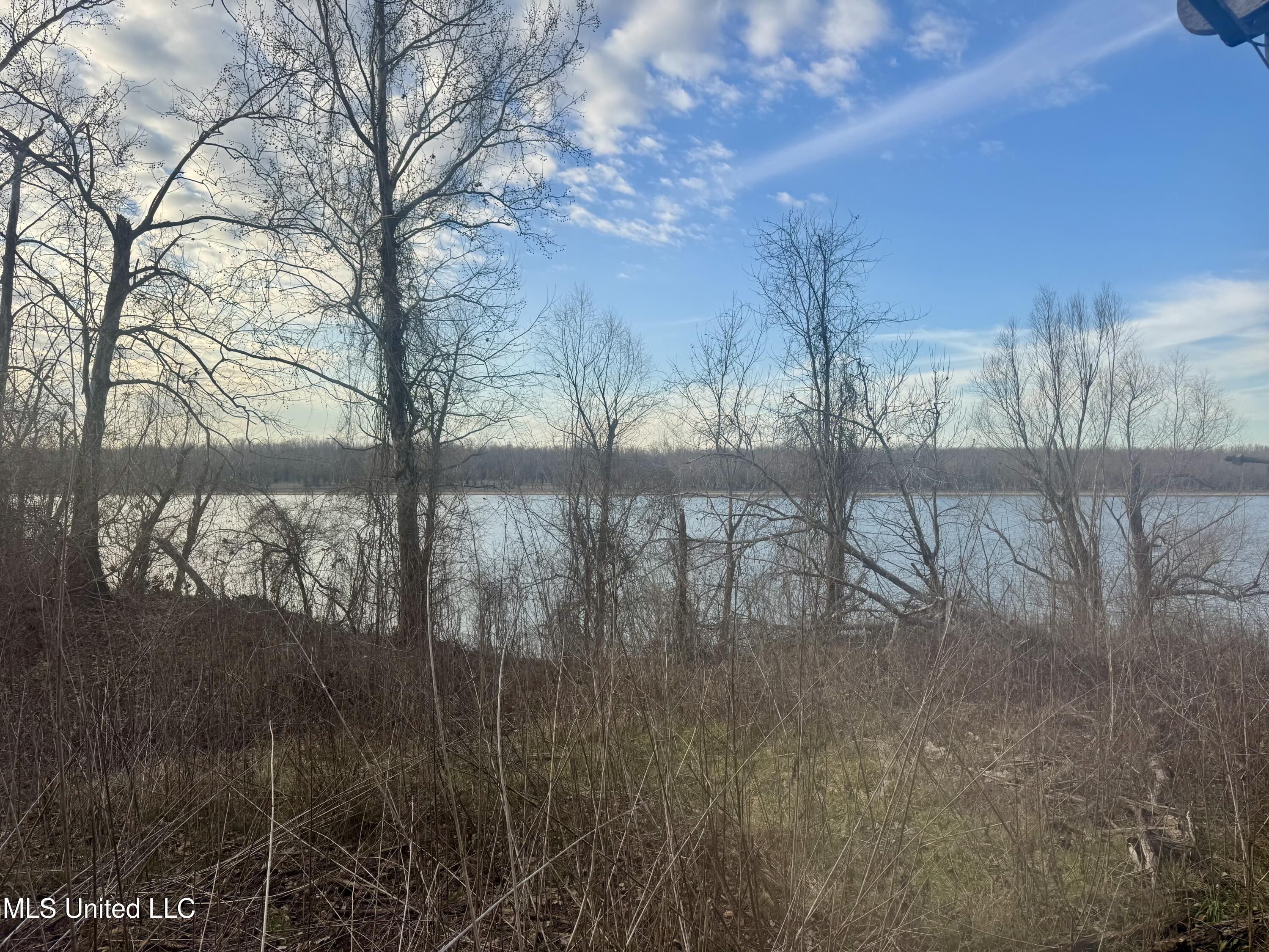 75 Desoto Lake Road Alligator, MS 38720 - Photo 3 of 6 IMG_3106