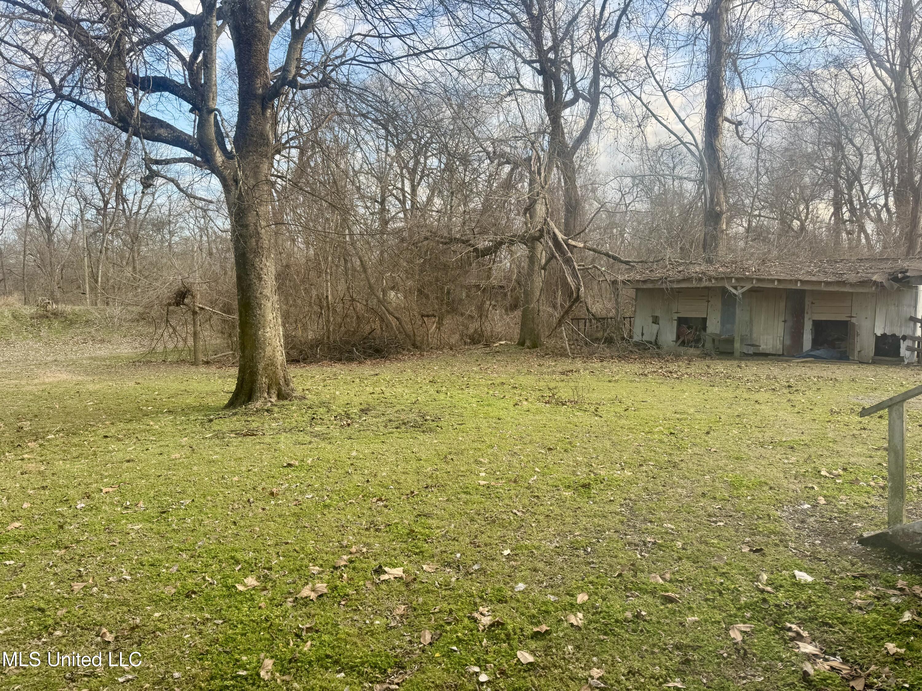 75 Desoto Lake Road Alligator, MS 38720 - Photo 4 of 6 IMG_3104