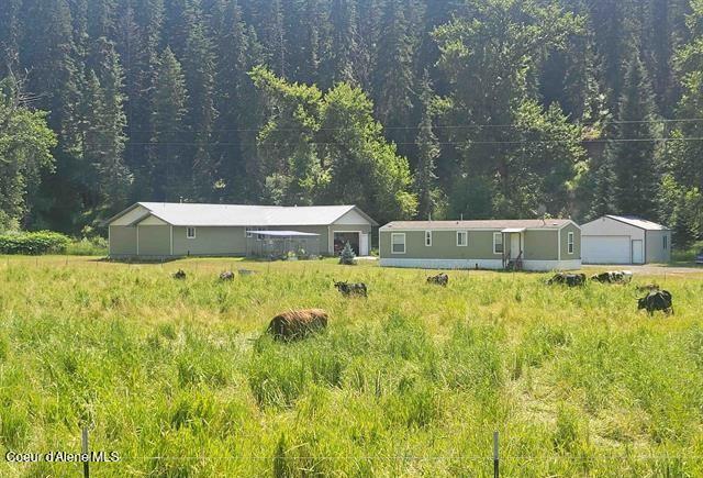 437 Clearcreek Road Kooskia, ID 83539 - Photo 1 of 14 Main