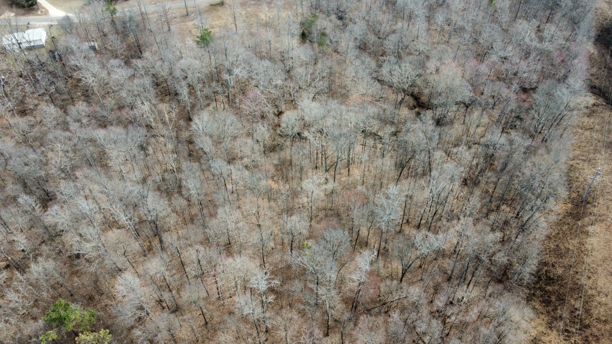 0 St Paul Church Road Huntingdon, TN 38344 - Photo 11 of 20 Gallery Image 11