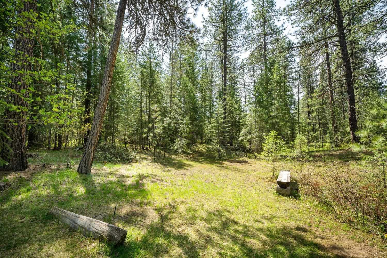40151 Morgan Road Loon Lake, WA 99148 - Photo 37 of 50 Gallery Image 37