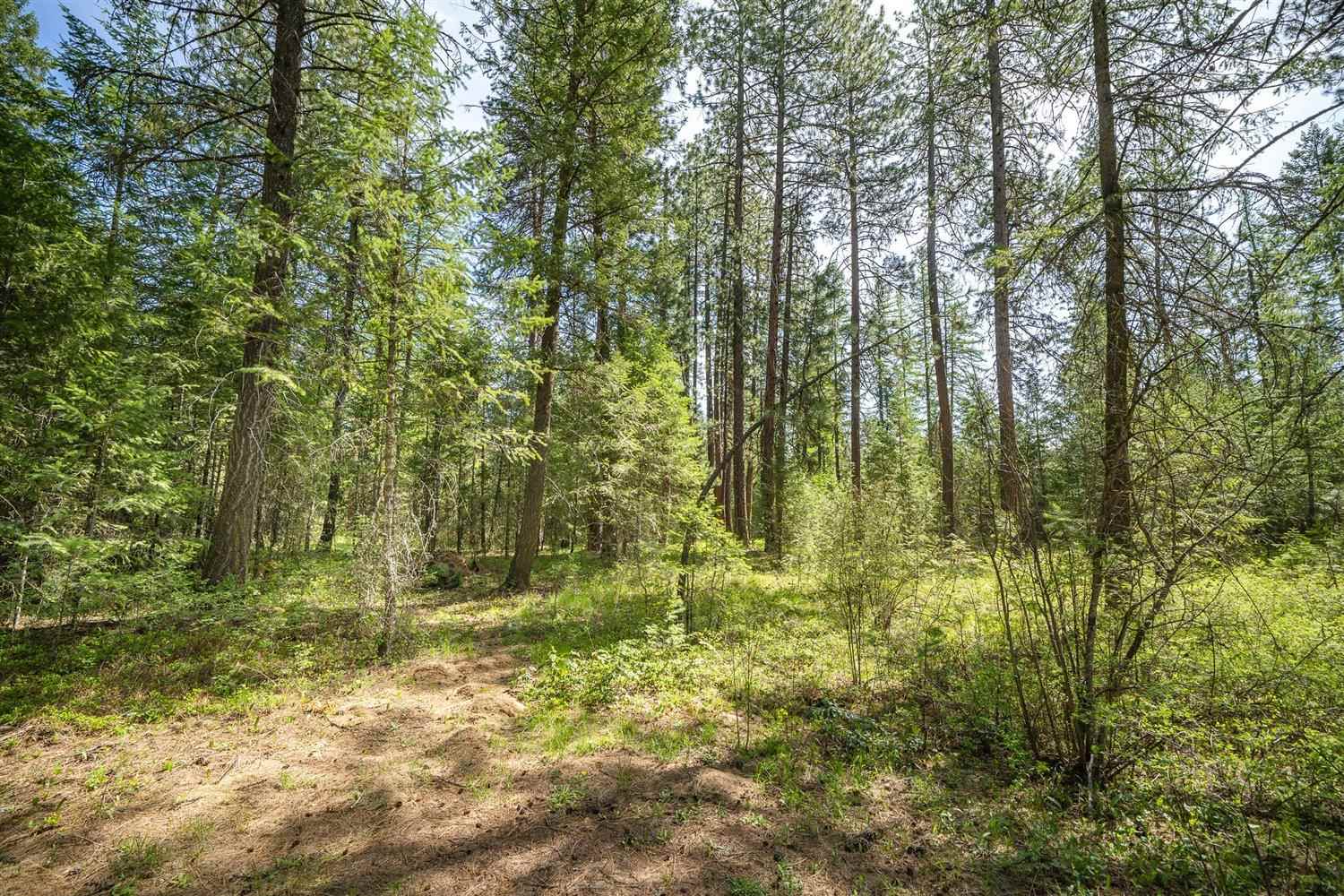 40151 Morgan Road Loon Lake, WA 99148 - Photo 38 of 50 Gallery Image 38