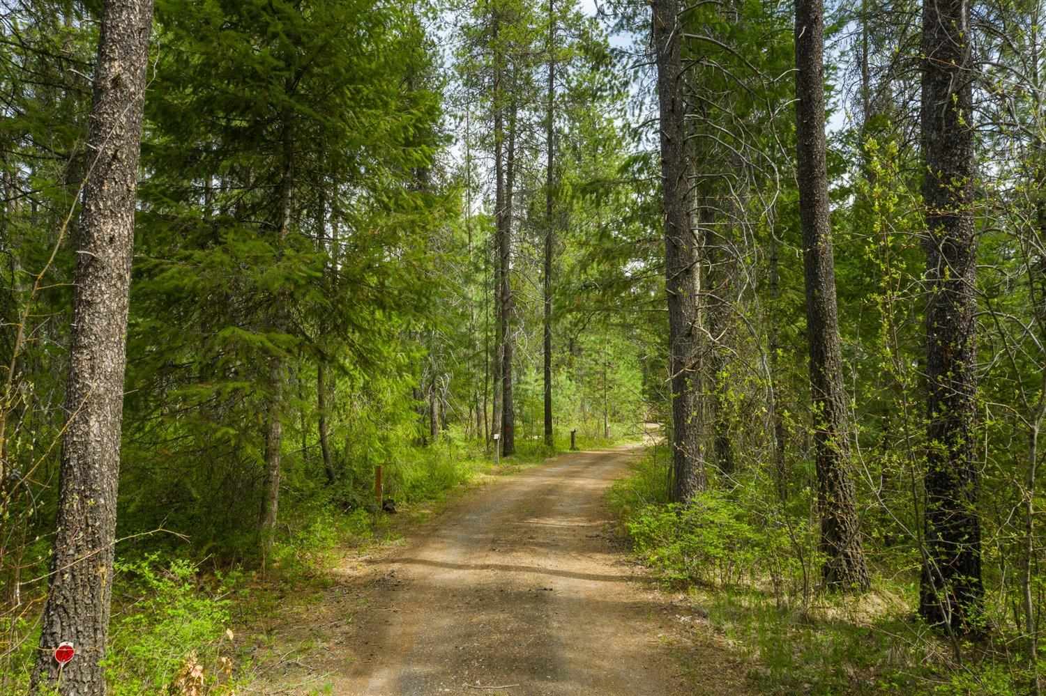 40151 Morgan Road Loon Lake, WA 99148 - Photo 45 of 50 Gallery Image 45