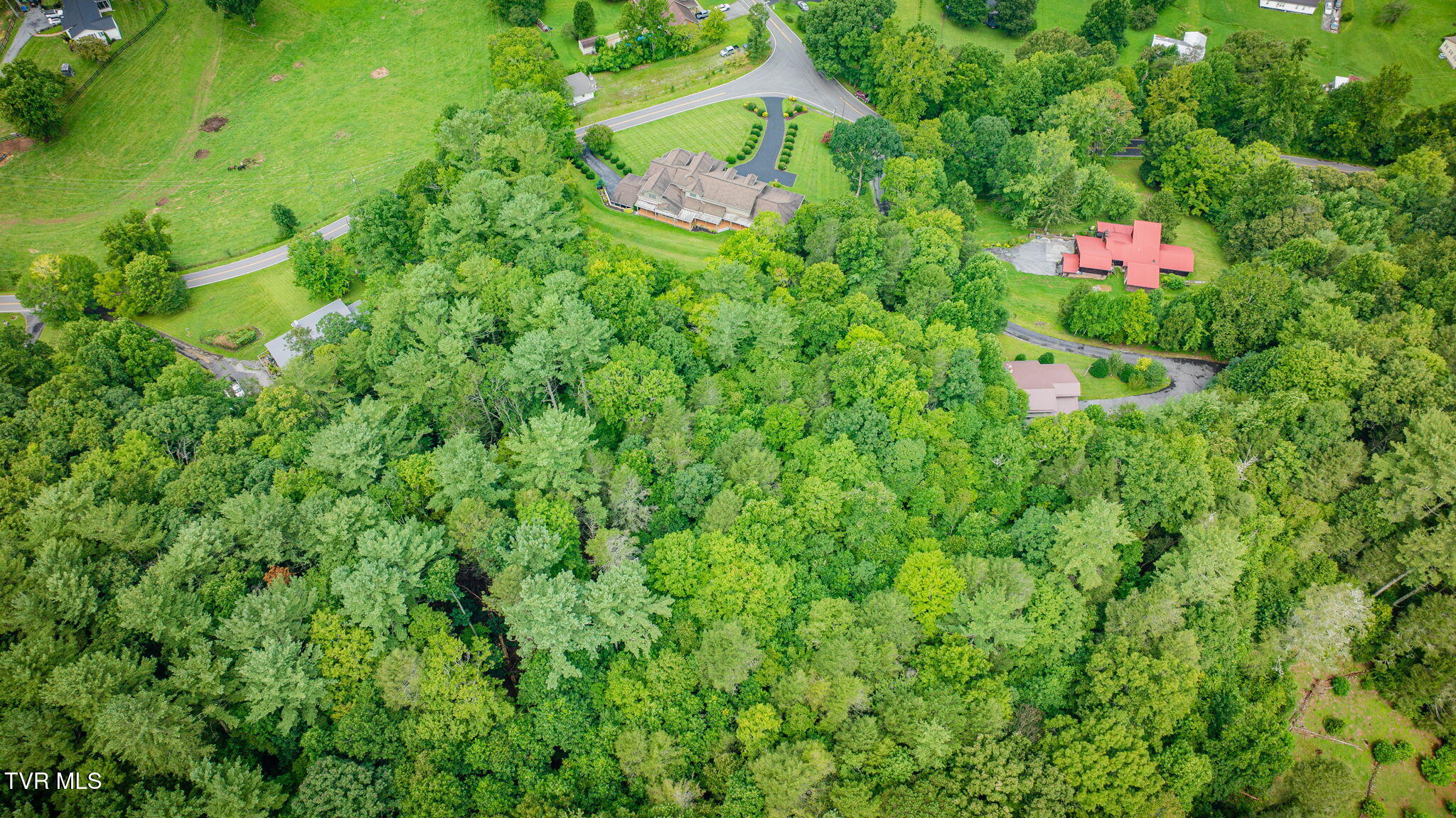205 Fishery Loop Road Erwin, TN 37650 - Photo 85 of 87 104