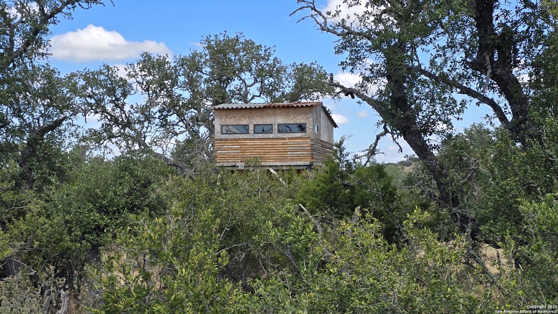 300 County Road 550 Rocksprings, TX 78880 - Photo 21 of 32 a view of a house with a tree