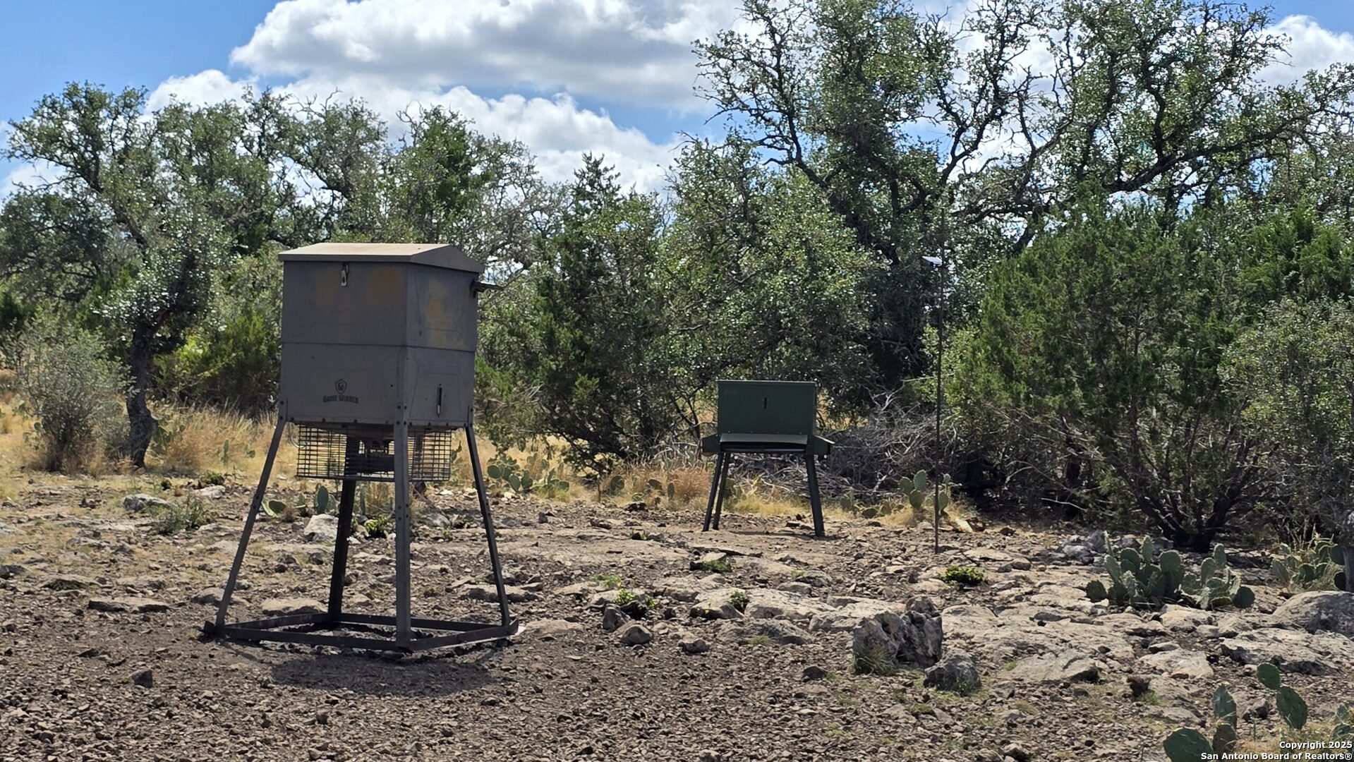 300 County Road 550 Rocksprings, TX 78880 - Photo 22 of 32 a couple of chairs sitting in a backyard with large trees