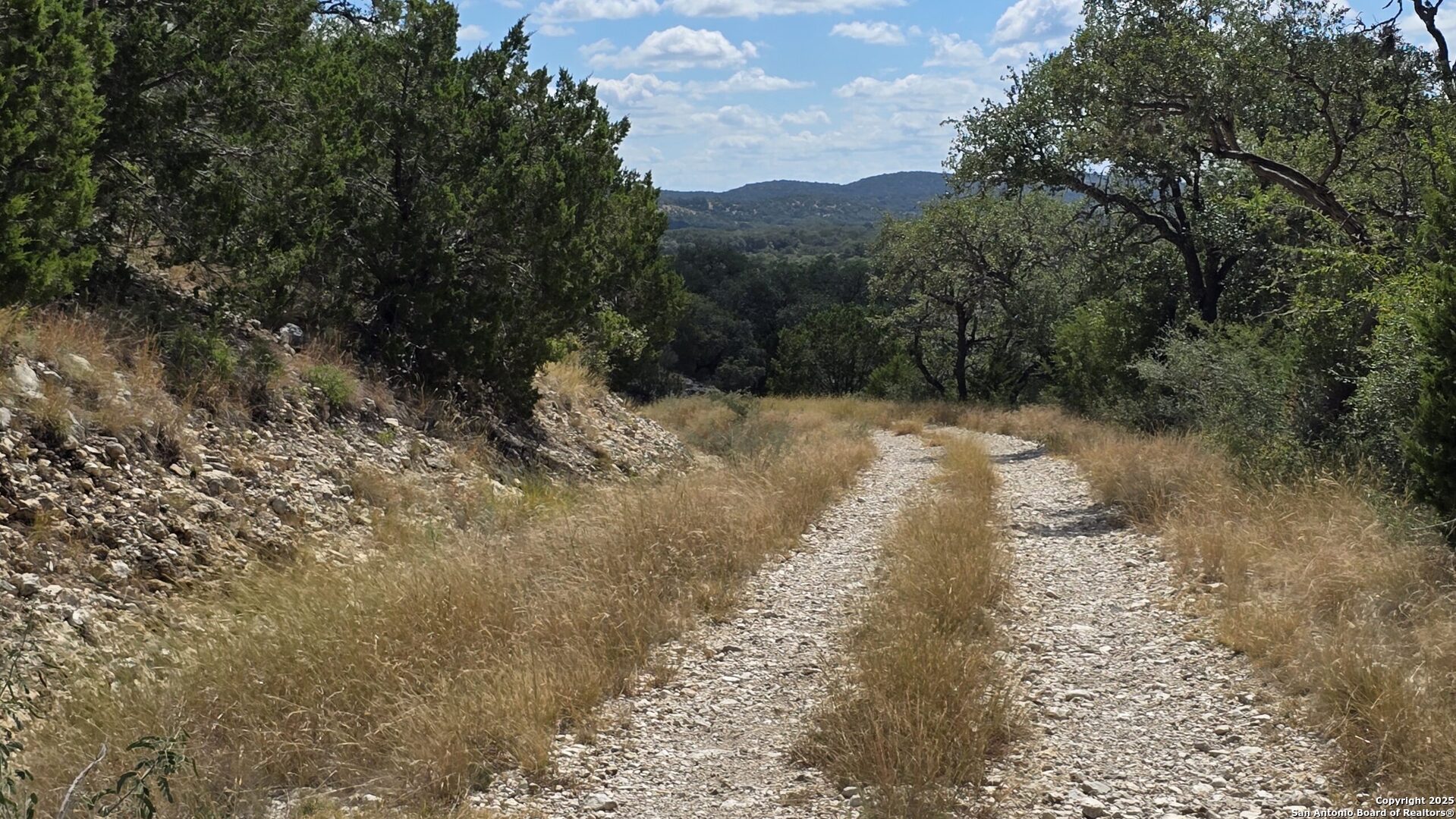 300 County Road 550 Rocksprings, TX 78880 - Photo 23 of 32 a view of a yard with a tree