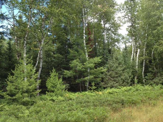 1-2 White Woods Road St. Germain, WI 54558 - Photo 13 of 18 Gallery Image 13