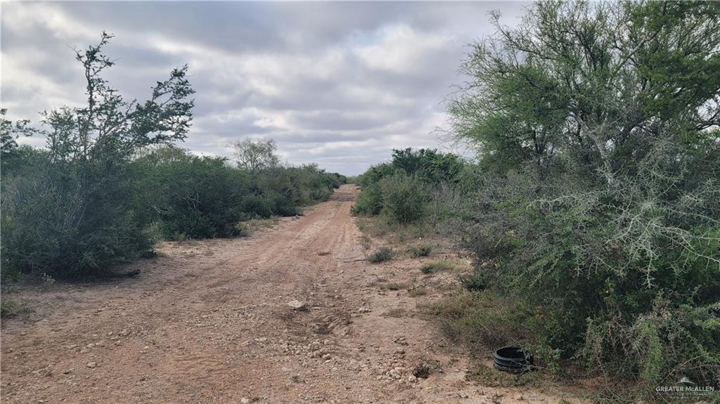290 Fm 2844 Road Rio Grande City, TX 78582 - Photo 21 of 25 Sendero