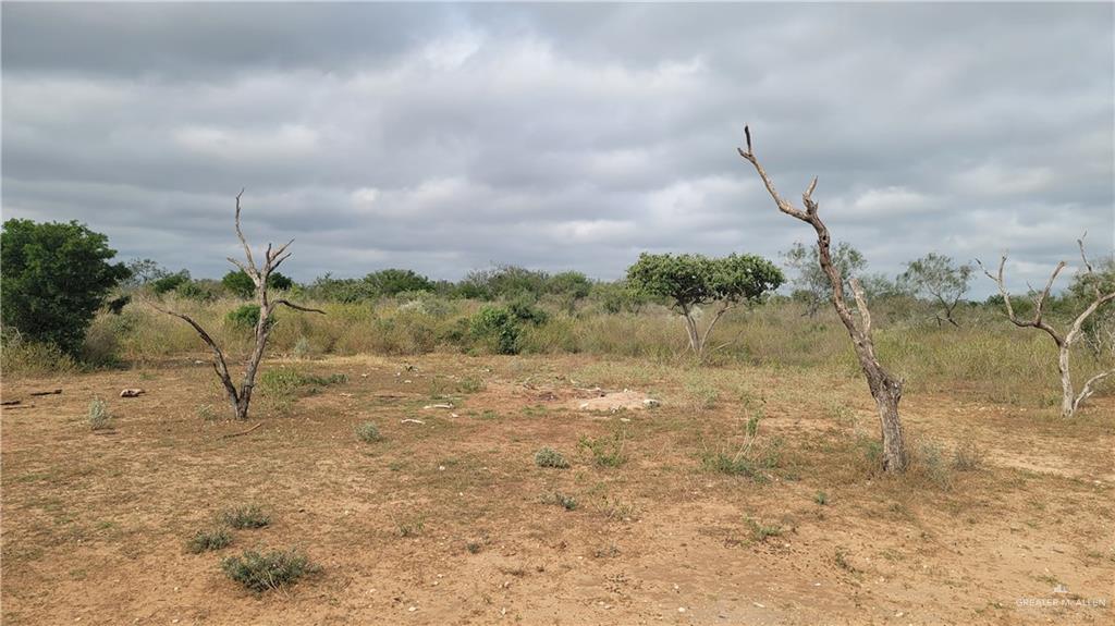 290 Fm 2844 Road Rio Grande City, TX 78582 - Photo 23 of 25 View of landscape
