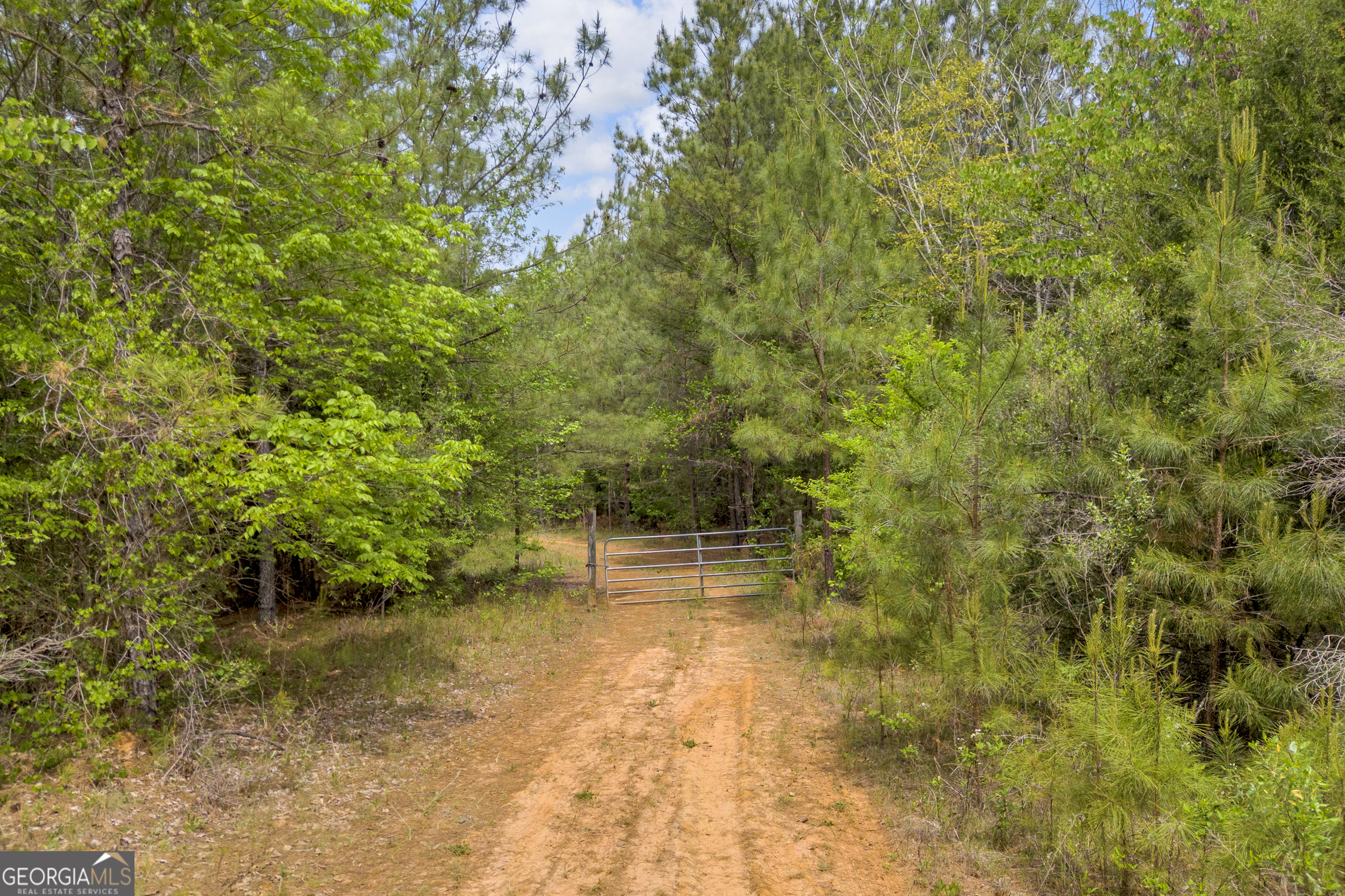 0 Upper Mill Road Northeast Crawfordville, GA 30631 - Photo 22 of 29 a view of a yard with plants and trees