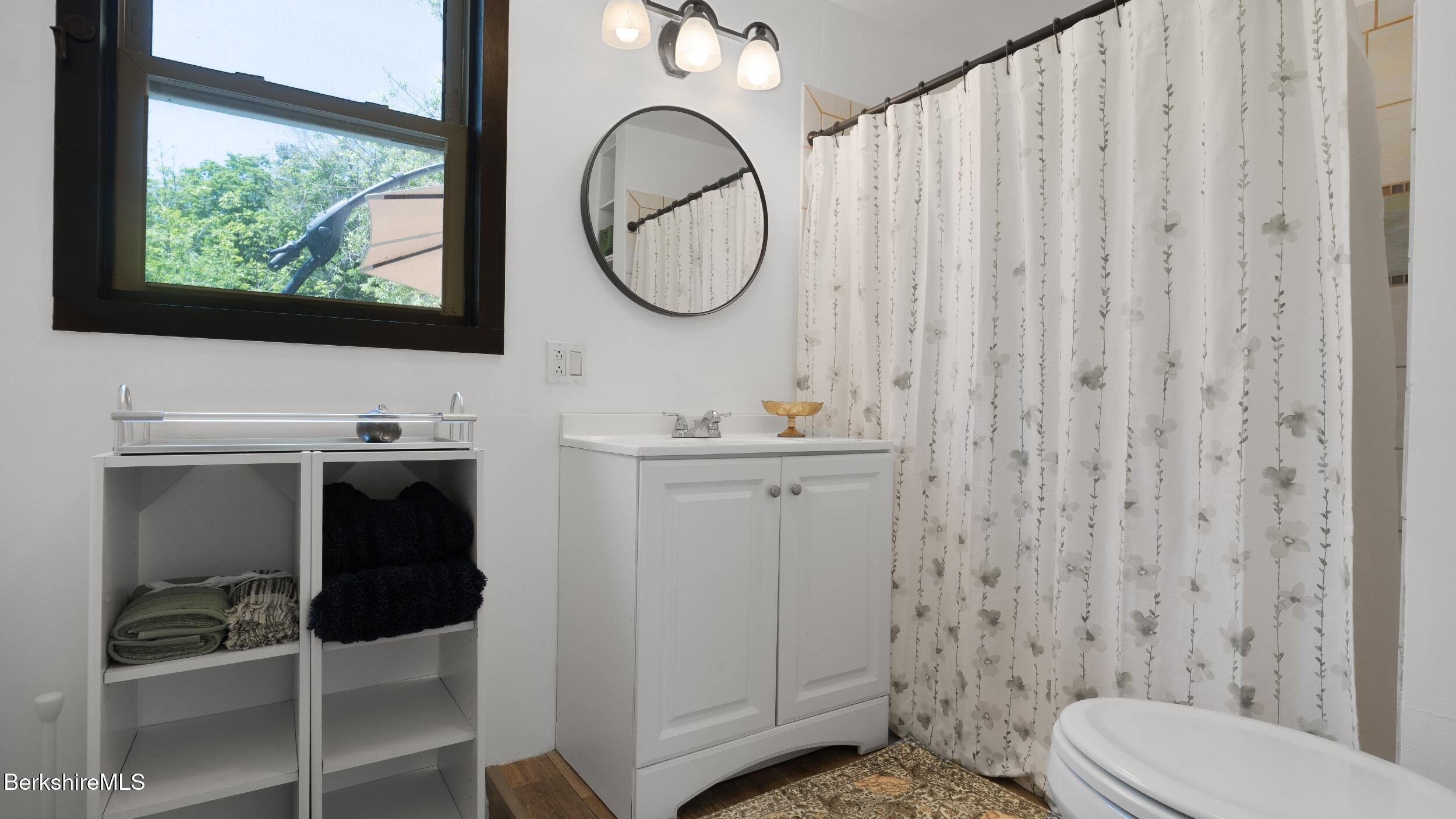 20 East Dugway Road Lenox, MA 01240 - Photo 60 of 84 a bathroom with a toilet a sink and a mirror