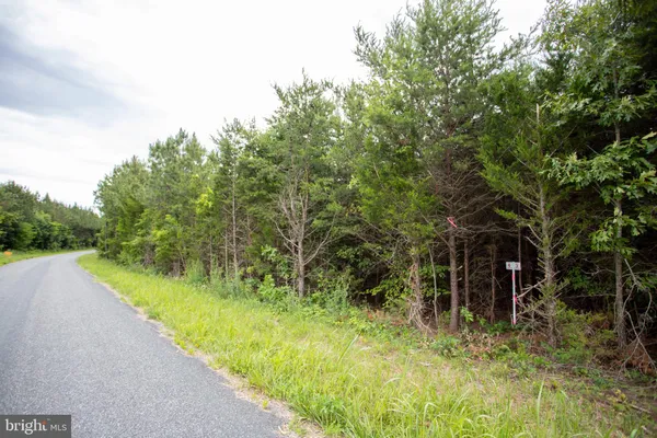 $31,900 | Tbd Trents Cemetery Road, Unit LOT 6, Phenix, VA 23959