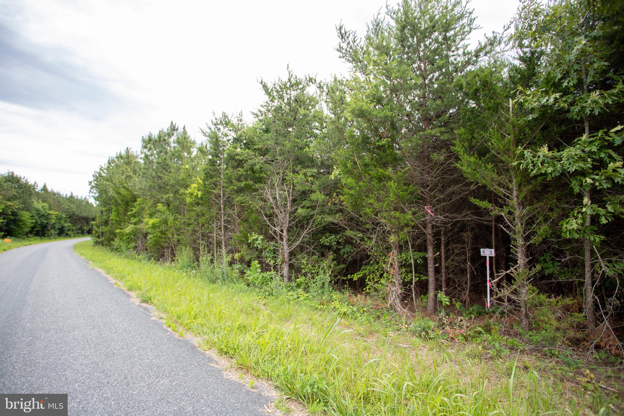 Tbd Trents Cemetery Road, Unit LOT 6 Phenix, VA 23959 - Photo 1 of 19