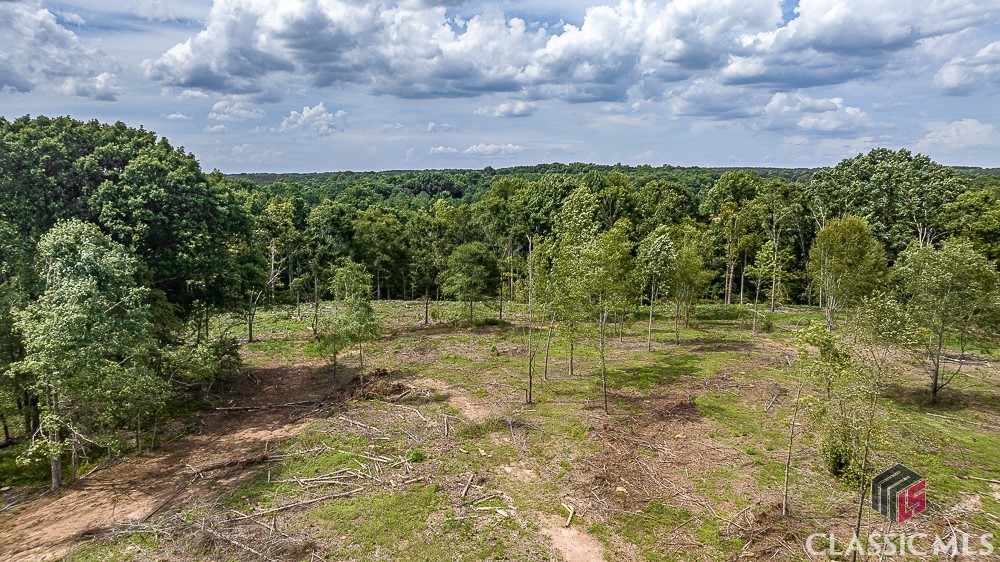 Lot 1 Coldwater Road Dewy Rose, GA 30634 - Photo 9 of 21