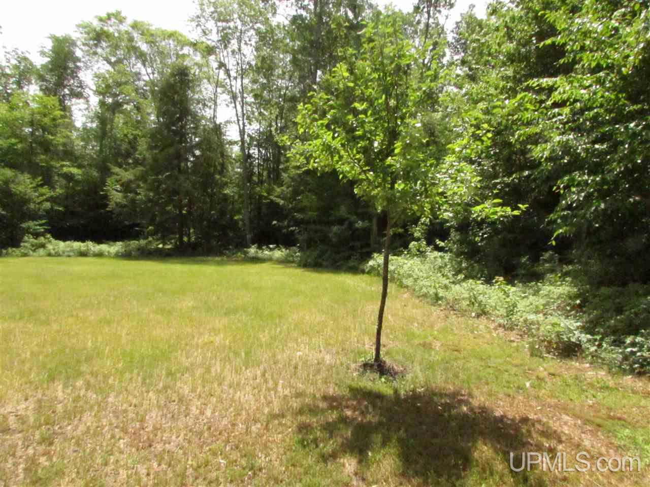 N12426 Driggs River Road Seney, MI 49883 - Photo 38 of 74 Gallery Image 38