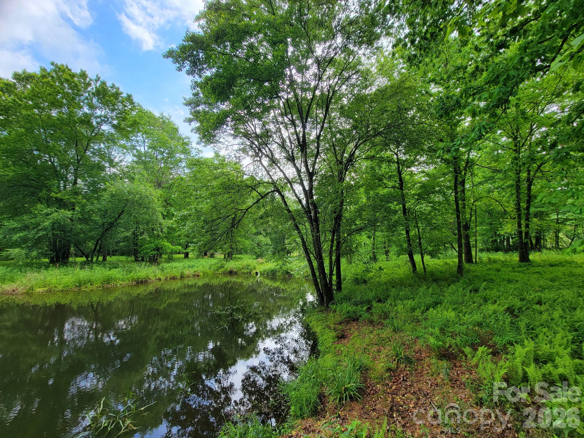 Tbd Sweetwater Rdg Road, Unit 1 Balsam Grove, NC 28708 - Photo 11 of 24 a view of lush green forest
