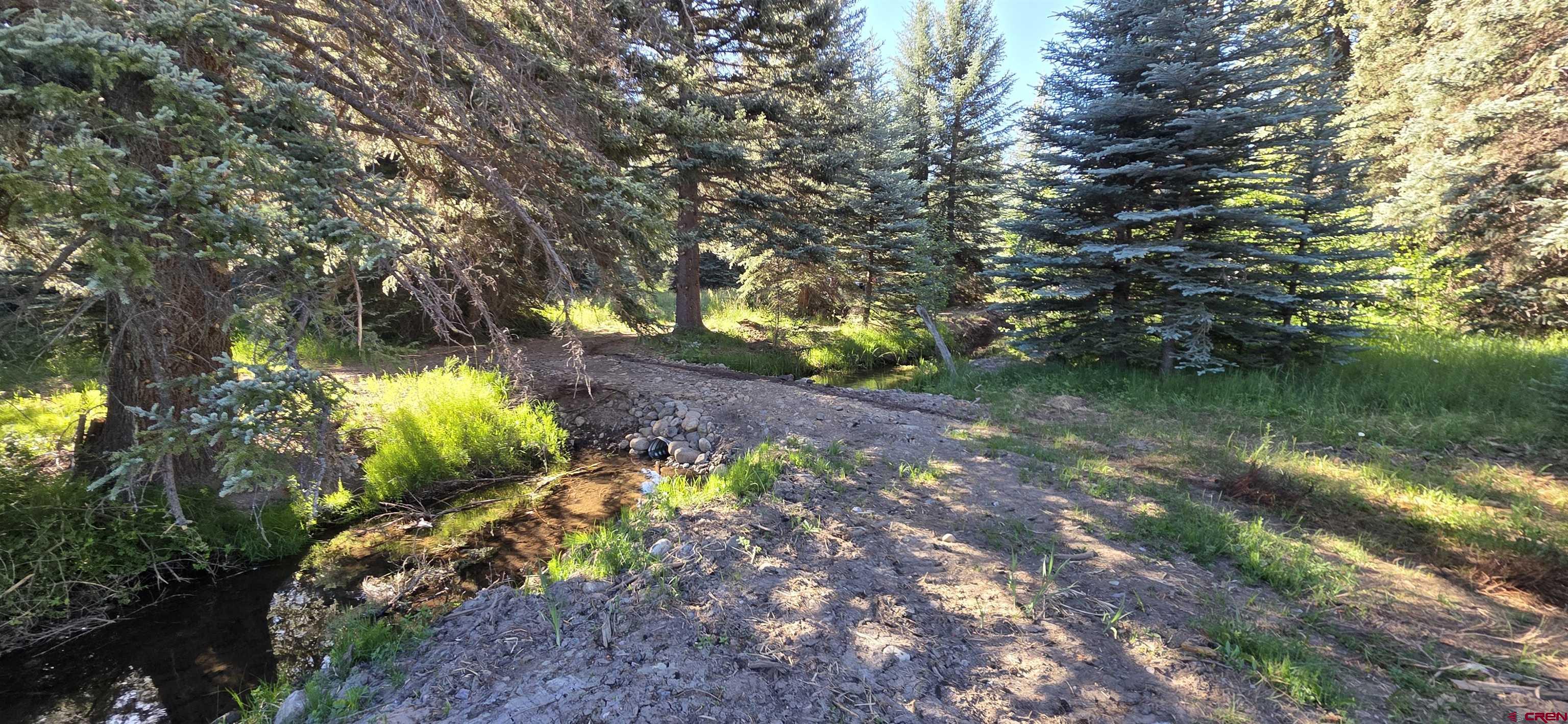 201 Golden Forest Road Bayfield, CO 81122 - Photo 15 of 37