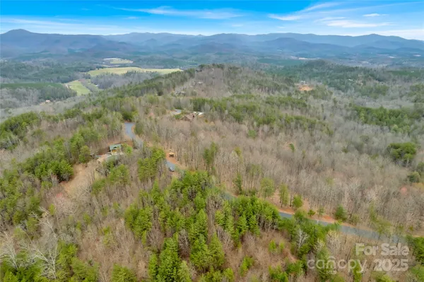 a view of a dry yard with green space