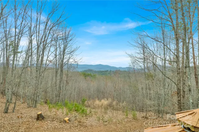 a view of a lush green hillside and houses