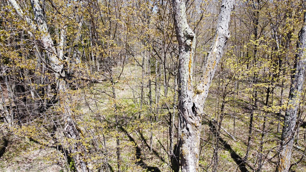 Maple Grove East Fish Creek, WI 54212 - Photo 6 of 7