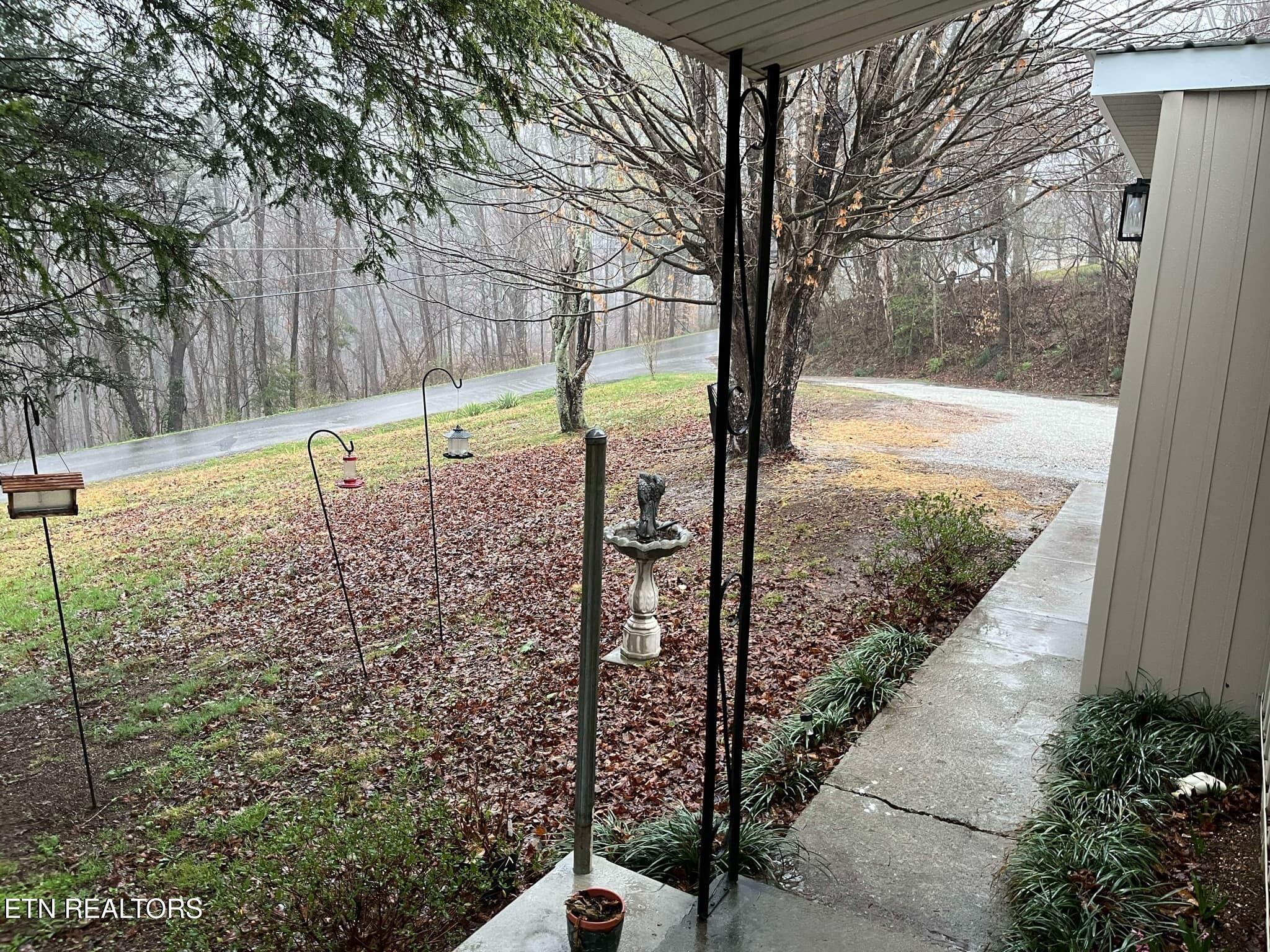 213 Whitaker Hollow Road Rocky Top, TN 37769 - Photo 2 of 36 Gallery Image 2