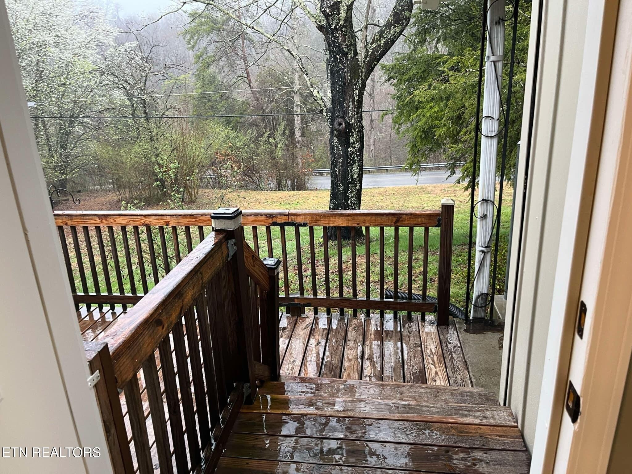213 Whitaker Hollow Road Rocky Top, TN 37769 - Photo 3 of 36 Gallery Image 3