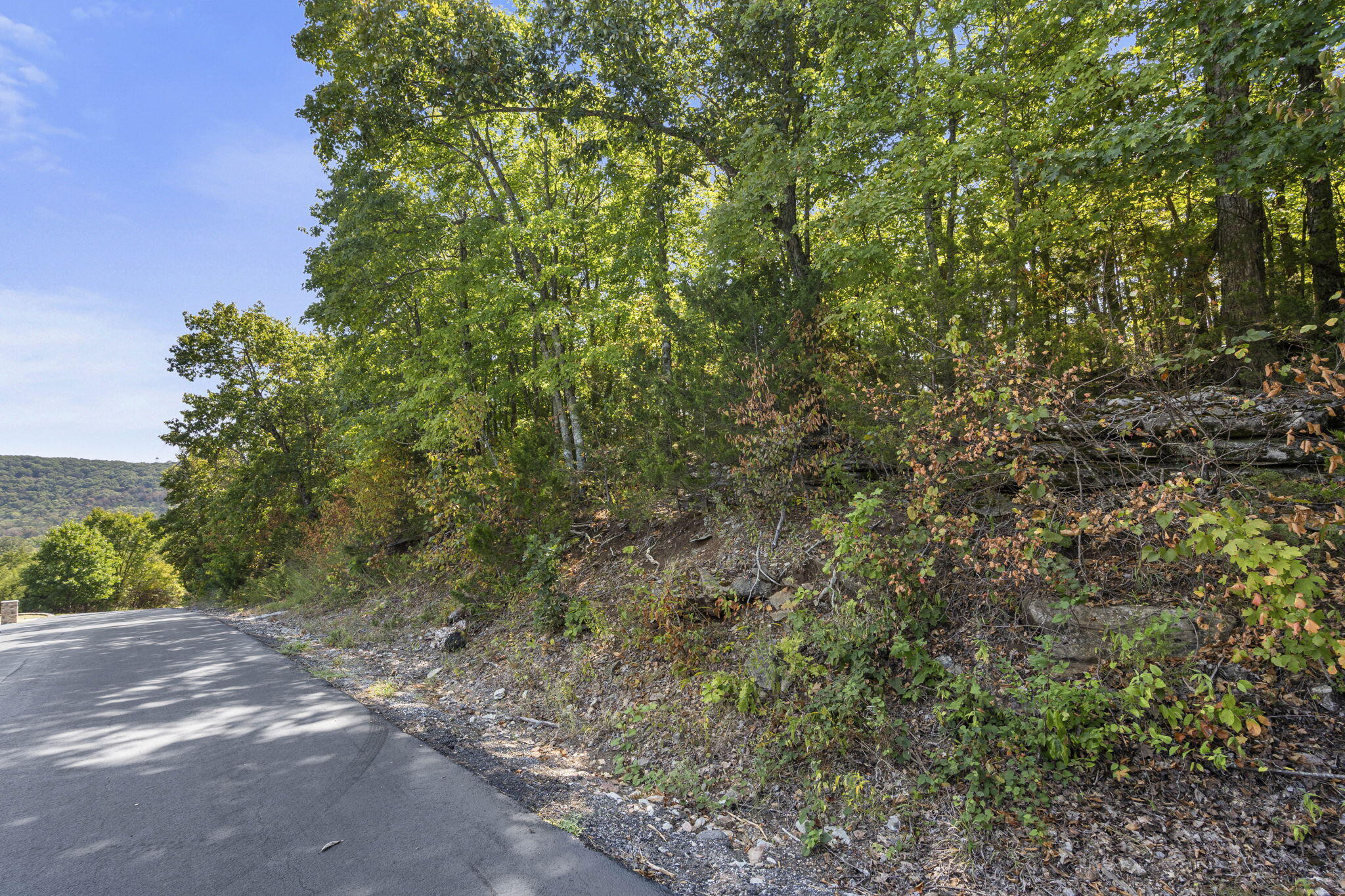 232-234 Bethany Lane Reeds Spring, MO 65737 - Photo 27 of 39 Bethany-Ln-Settle-Into-Lake-Life