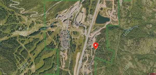 a close up of a plant