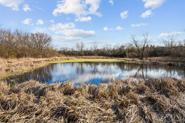 $2,030 | 93 North Victoria Lane, Unit D, Streamwood, IL 60107