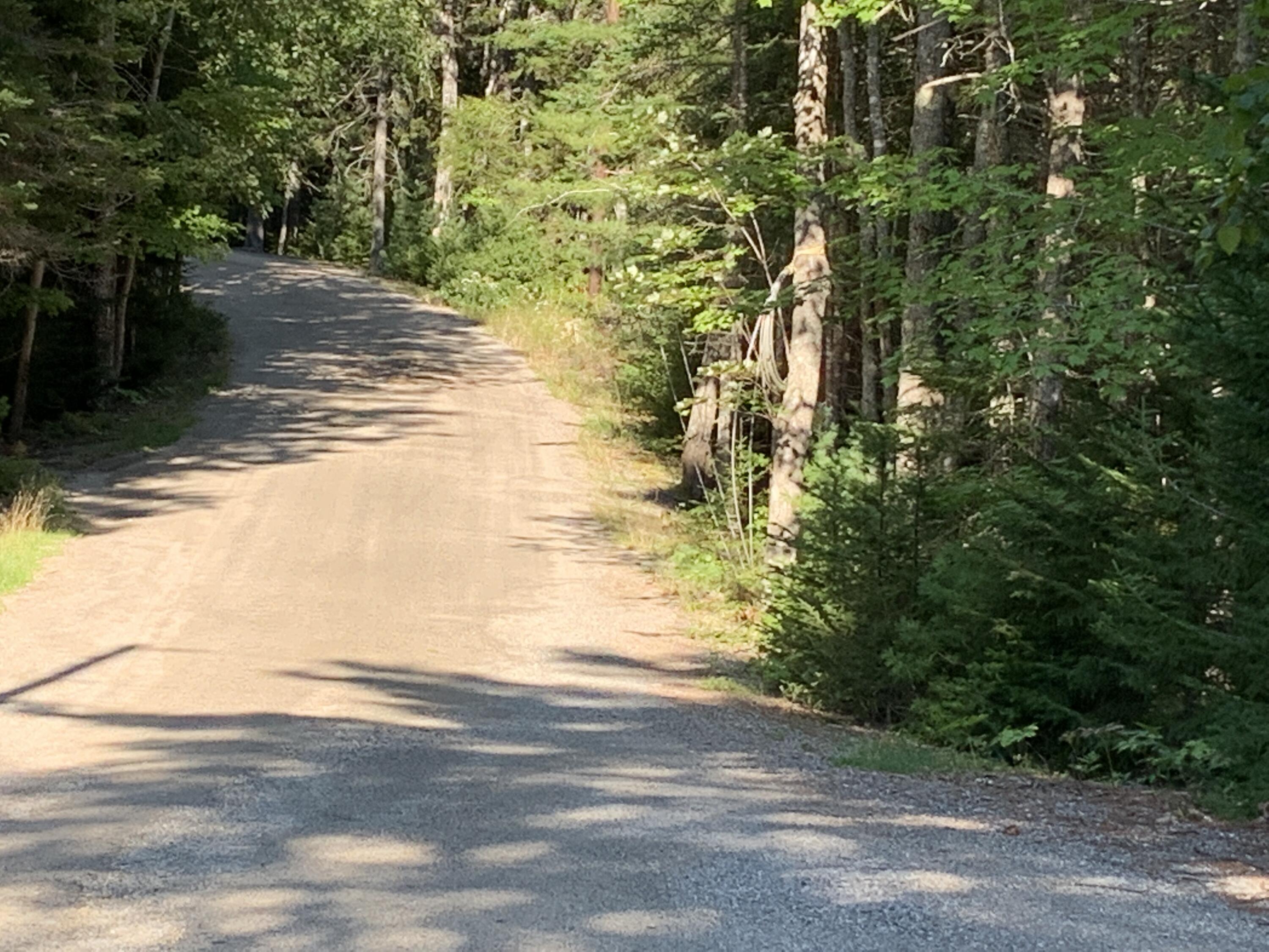 8 Lakeside Road Mount Desert, ME 04660 - Photo 1 of 11 IMG_6333