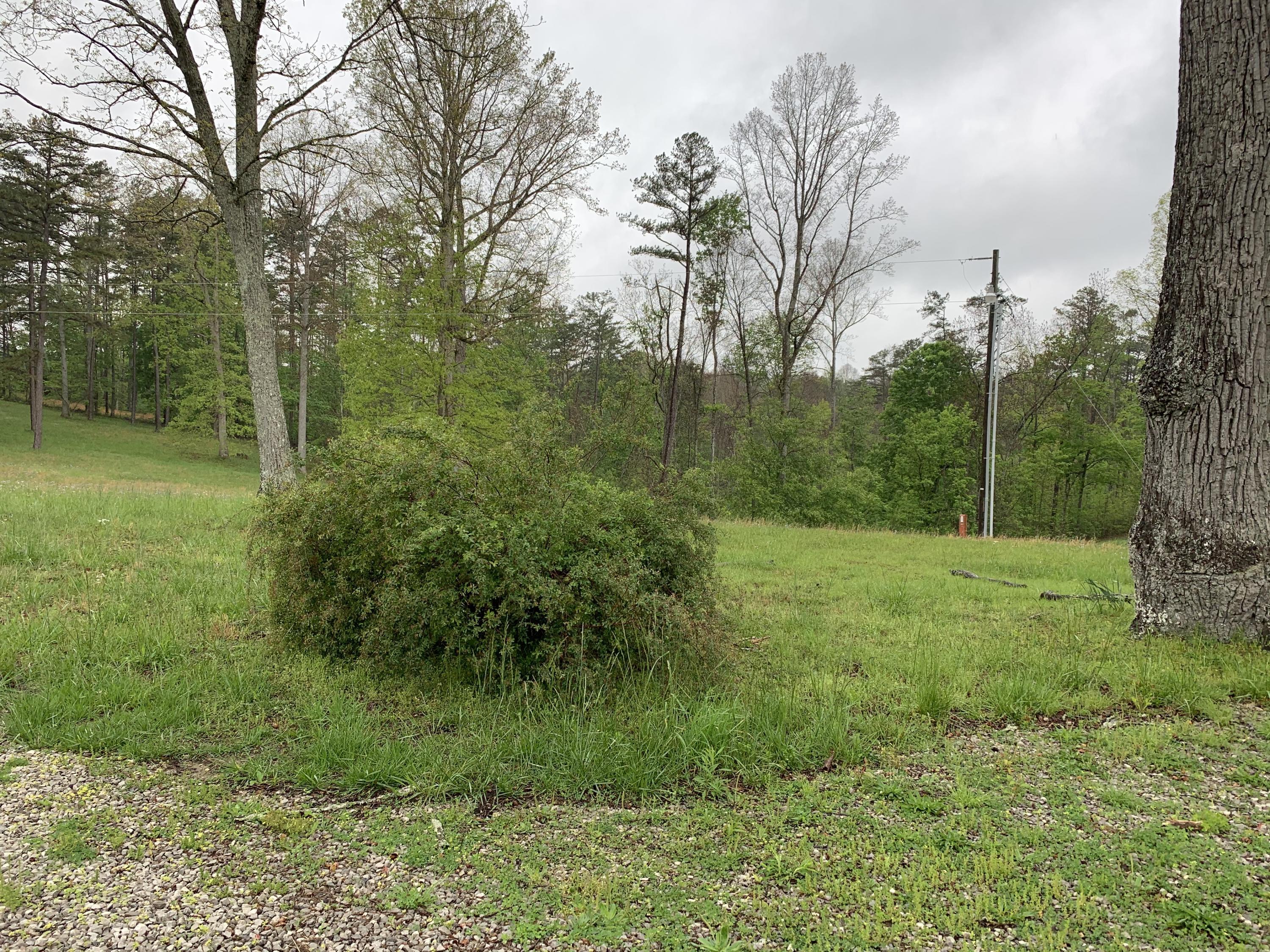 696 Denton Phelps Road Somerset, KY 42501 - Photo 49 of 71 IMG_0018