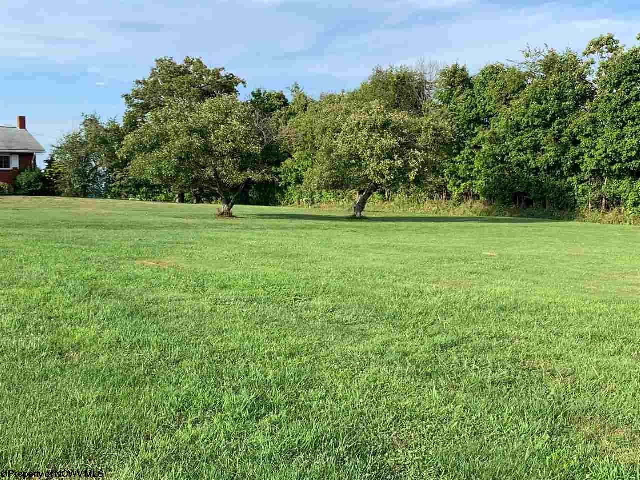 237 Cale Road Bruceton Mills, WV 26525 - Photo 19 of 19 Gallery Image 19