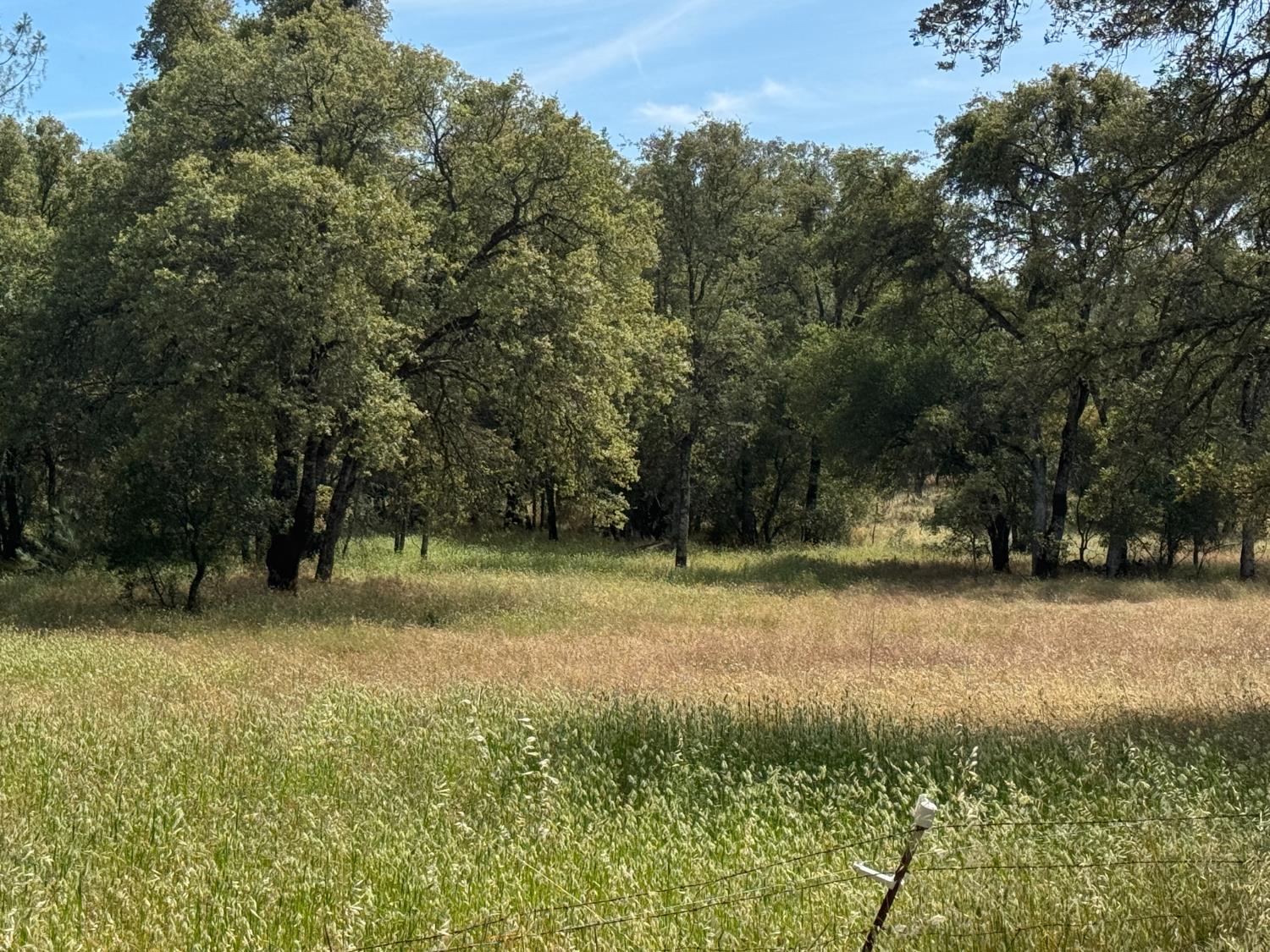 11168 Lone Star Road Auburn, CA 95602 - Photo 6 of 51