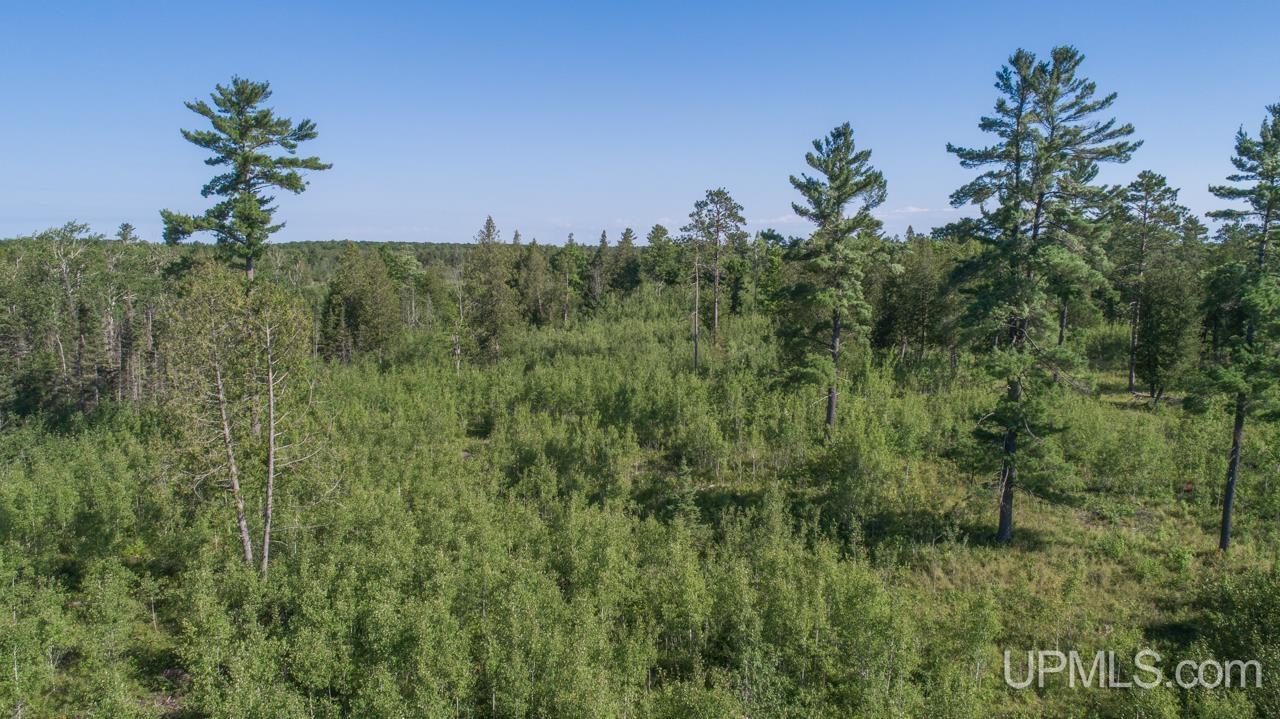 Tbd 80-acres 30th Road Rapid River, MI 49878 - Photo 8 of 17