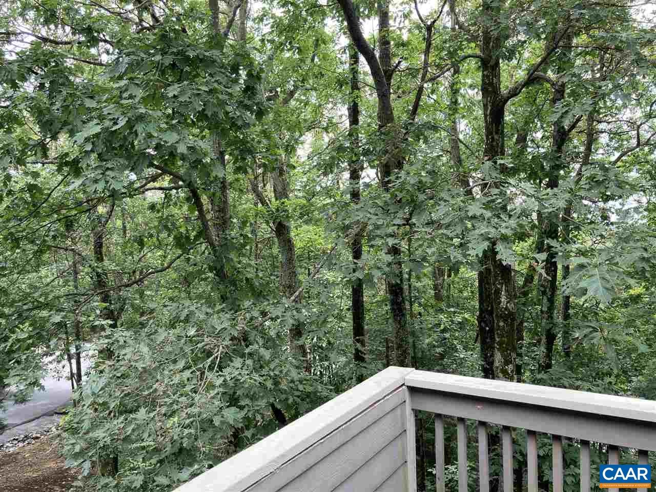 409 Three Ridges Roseland, VA 22967 - Photo 15 of 19 Gallery Image 15