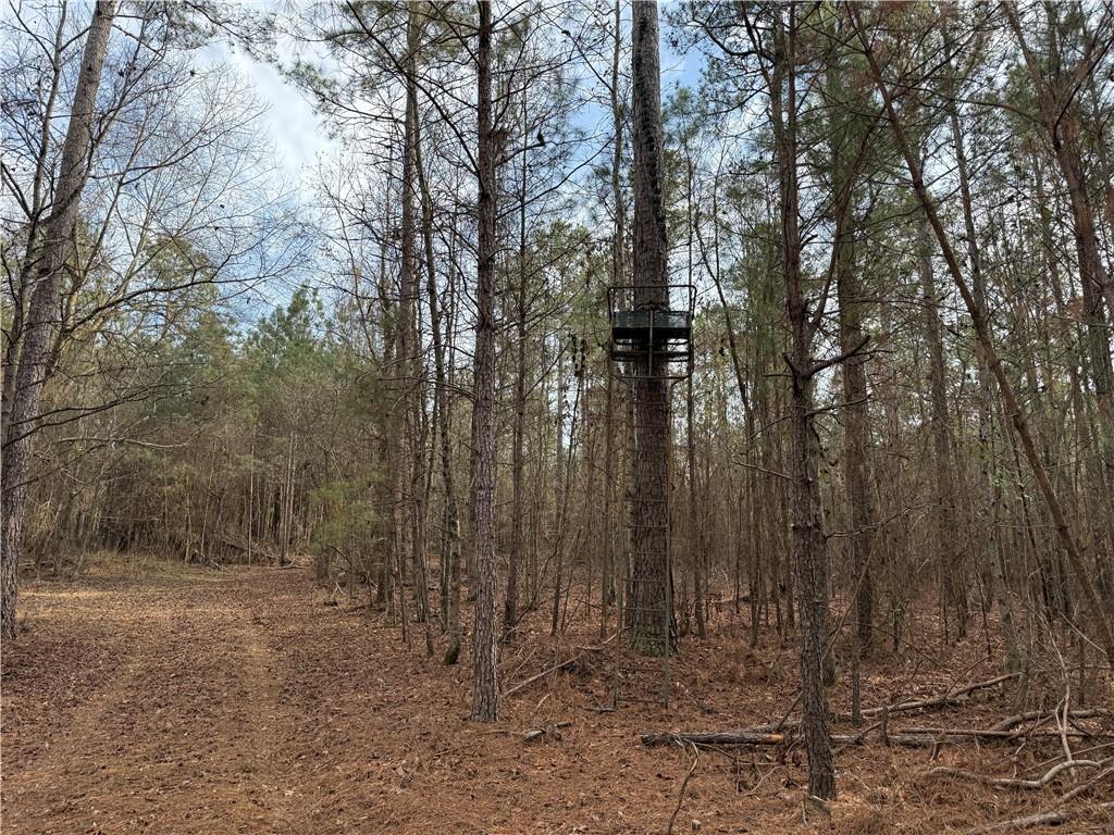 0 Hulmes Chapel Road Elberton, GA 30635 - Photo 11 of 18 a view of a yard with trees