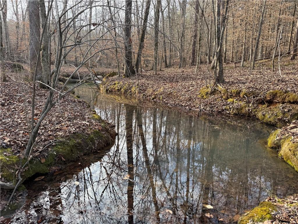 0 Hulmes Chapel Road Elberton, GA 30635 - Photo 13 of 18