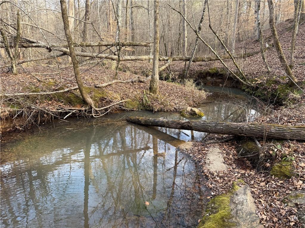 0 Hulmes Chapel Road Elberton, GA 30635 - Photo 14 of 18 a view of a lake in middle of forest