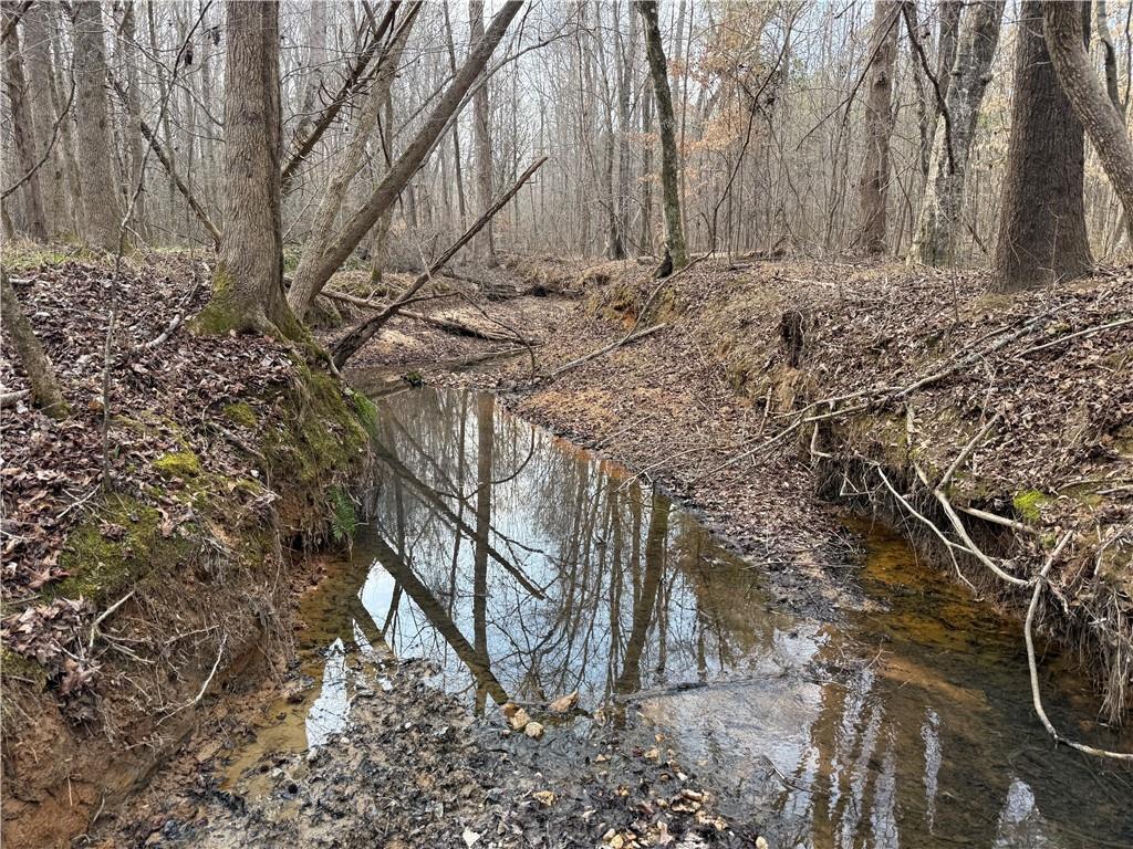 0 Hulmes Chapel Road Elberton, GA 30635 - Photo 15 of 18 a view of a yard with large tree