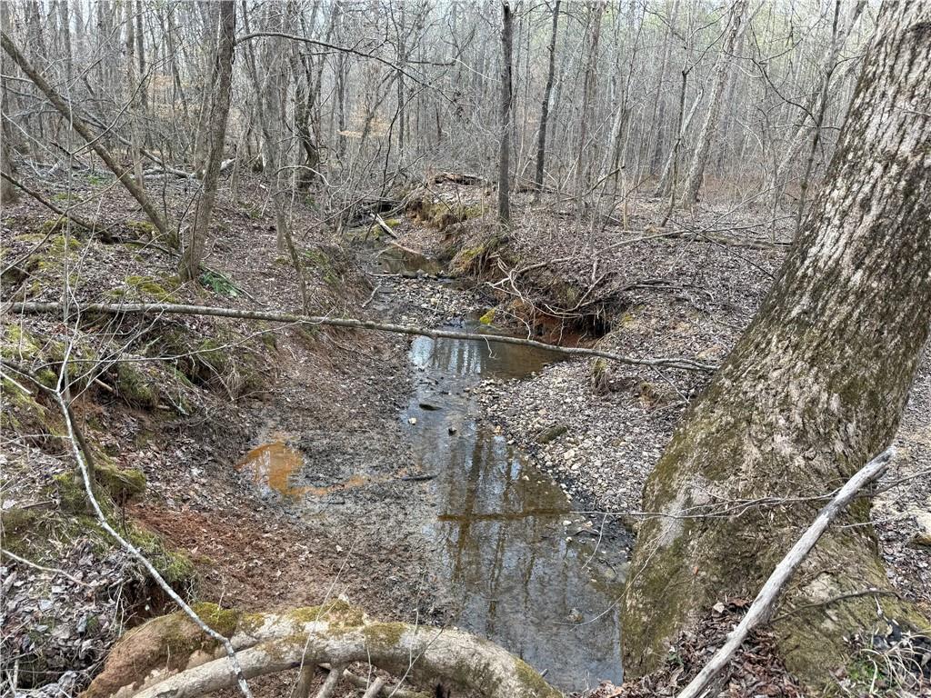 0 Hulmes Chapel Road Elberton, GA 30635 - Photo 16 of 18 a view of a yard with wooden fence
