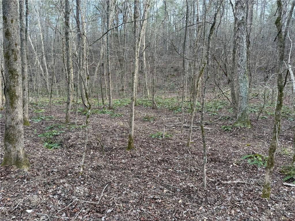 0 Hulmes Chapel Road Elberton, GA 30635 - Photo 18 of 18 a view of a yard with a trees