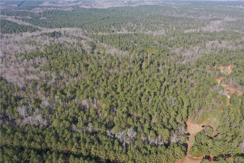 0 Hulmes Chapel Road Elberton, GA 30635 - Photo 2 of 18 a view of a dry yard with trees all around