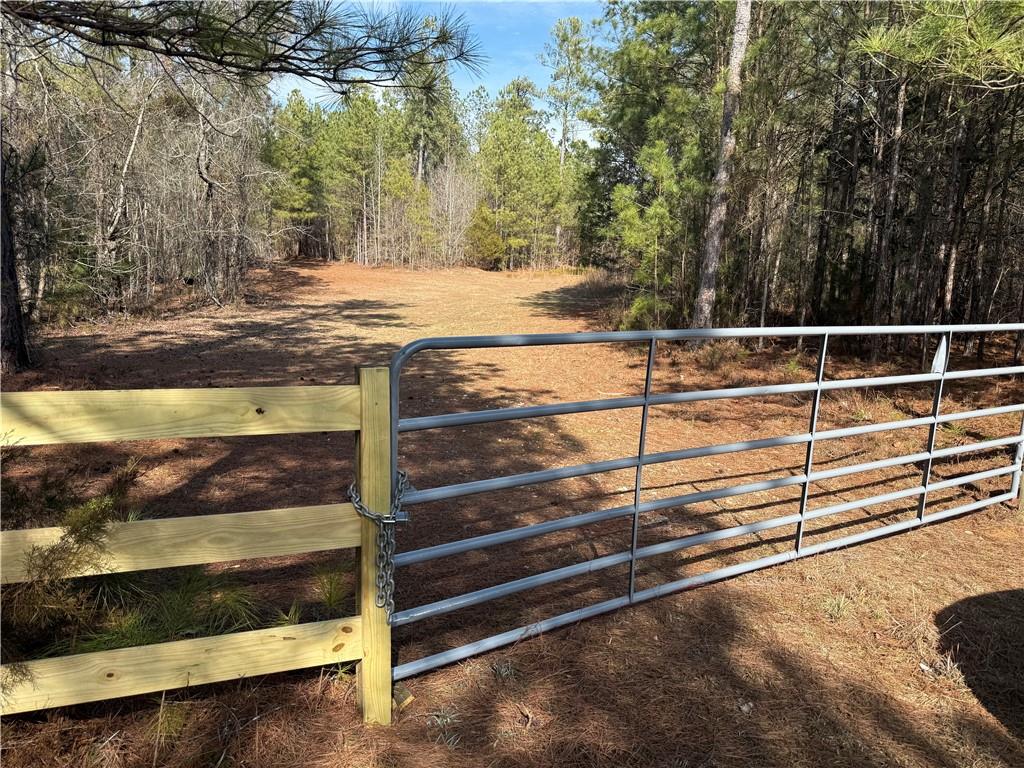 0 Hulmes Chapel Road Elberton, GA 30635 - Photo 6 of 18 a view of a backyard