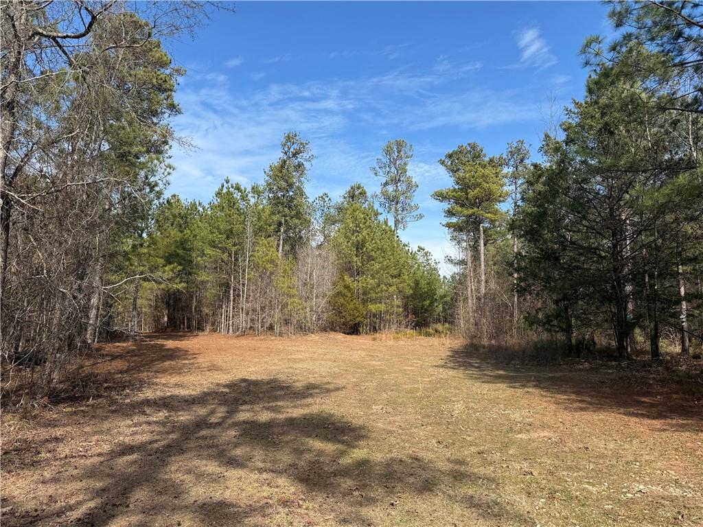 0 Hulmes Chapel Road Elberton, GA 30635 - Photo 9 of 18 a backyard of a house with trees