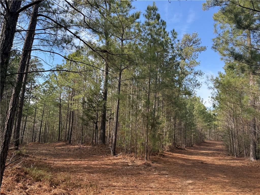 0 Hulmes Chapel Road Elberton, GA 30635 - Photo 10 of 18 a view of a backyard with large trees