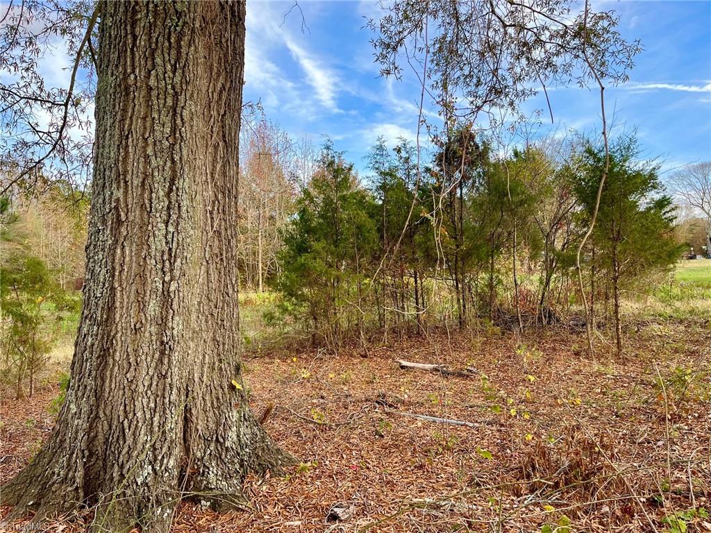 0 Salem Road Lexington, NC 27295 - Photo 5 of 15 Gallery Image 5
