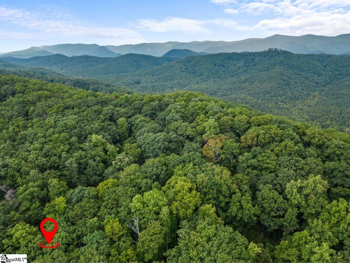 160 Duffs Mountain Road Marietta, SC 29661 - Photo 34 of 35