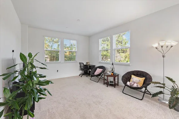 a living room with furniture flowerpot and window