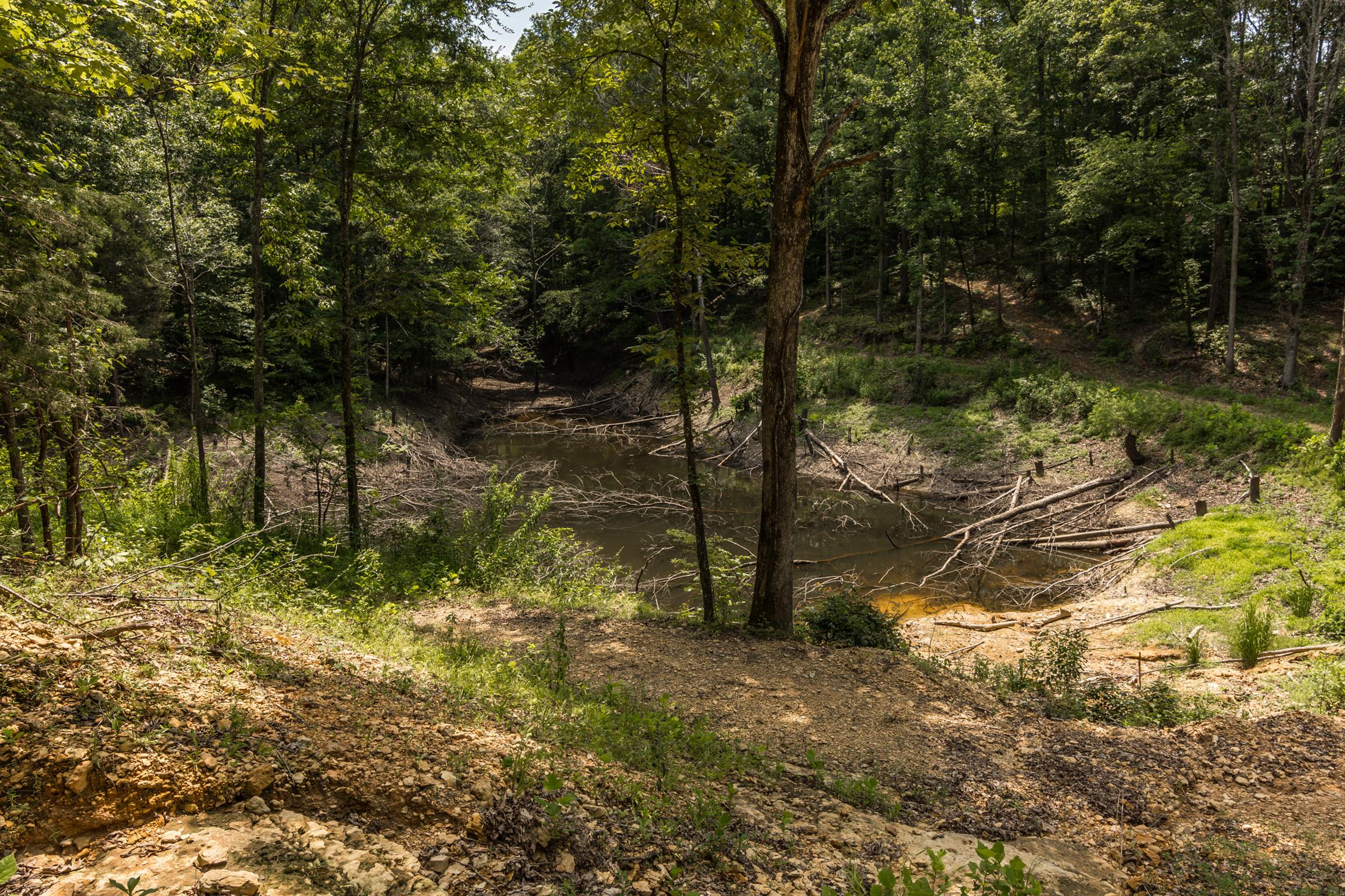 7897 Ridgewood Road Goodlettsville, TN 37072 - Photo 28 of 30 Gallery Image 28
